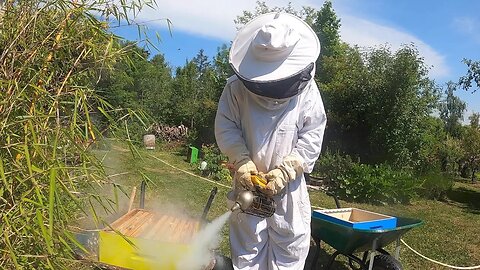 Beekeeping Outside Paris II - A Folly in France - 64