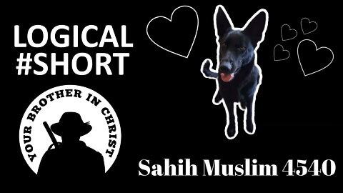THE TRUTH ABOUT: Why Muslims Hate Dogs? Sahih Muslim 4540 - LOGICAL #SHORT