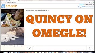 MY DOG SURPRISES PEOPLE ON OMEGLE!