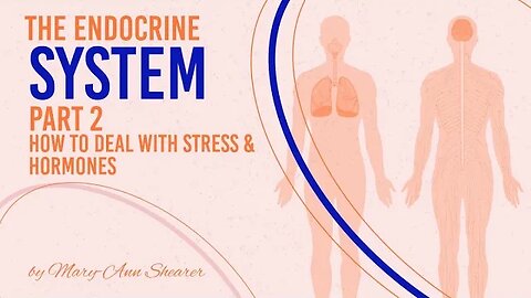 The Endocrine System pt2: How to deal with stress and Endocrine or Hormone issues #hormones