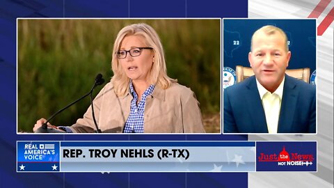 ‘Liz, you didn’t free any slaves’: Rep. Troy Nehls BLASTS Cheney’s Self Comparison To Abe Lincoln