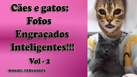 Cães e gatos: Fofos, engraçados e inteligentes!!! vol - 2