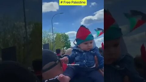 Free Palestine @palestine @shorts @freepalestine HIGH