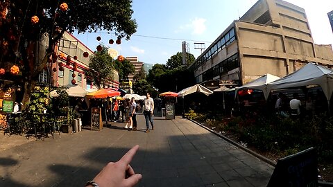 Mexico City's Zona Rosa