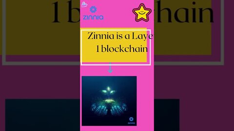 Zinnia Network, smart contract enabled blockchain