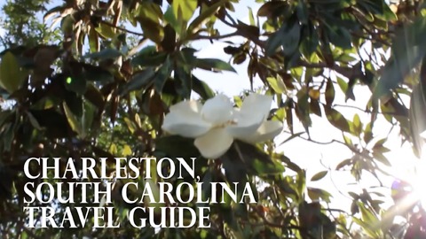 What to do when visiting Charleston, South Carolina