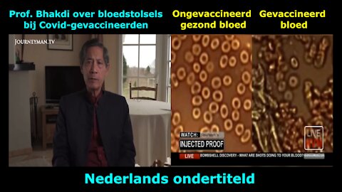 Prof. Bhakdi & Dr. Ruby over bloedstolsels bij Covid-gevaccineerden - een NLs videoverslag