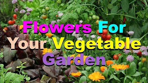 No. 992 – Flowers For Your Vegetable Garden