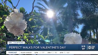 Walking Club: Exploring the Florida Botanical Gardens in Largo