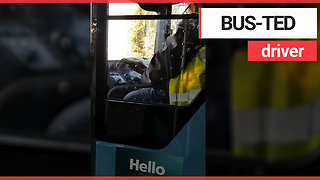 Bus driver reads newspaper behind the wheel during rush hour