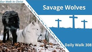 Savage Wolves Among Us | Daily Walk 308