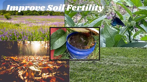 5 Ways to Increase Soil Fertility + A Bonus