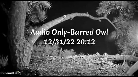 Audio Only-Barred Owl 🦉 12/31/22 20:12