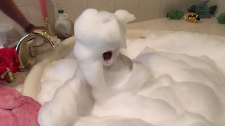 Try Not To Laugh Challenge: Babies, Bubbles and Baths