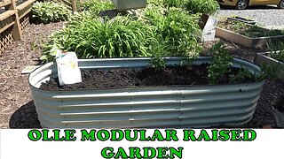 Olle Modular Raised Garden Bed. Perfect for people wanting to grow food on small plots.