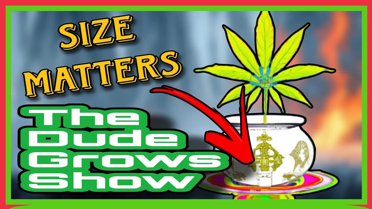 Optimizing Your Cannabis Container Tips And Tricks For Healthy Growth