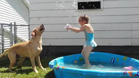 Tot Girl And A Dog Playing Fetch With Water