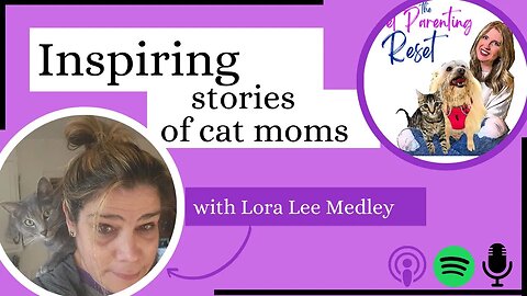 Inspiring Stories and Expert Advice for Cat Parents