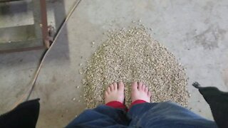 Barefoot on hot rocks