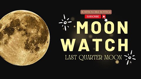 LAST QUARTER MOON LEO | 11/16/22 | LIGHTEN UP | MOONOLOGY GROUNDWORK 🧘🏾‍♀️ #LEO