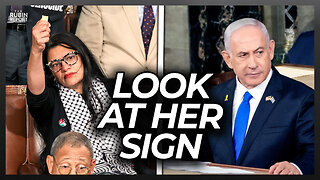 Far-Left Democrat Humiliates Herself with This Sign at Netanyahu Speech