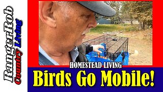 Meat Birds Go Mobile! Time To Move To The Chicken Tractor