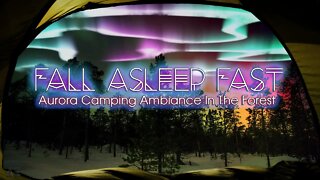 Fall Asleep Fast | Aurora Camping Ambience In A Snowy Forest | Healing & Meditative Music