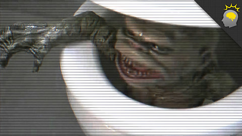 Stuff to Blow Your Mind: Ghoulies: Evolutionary Toilet Terror - Monster Science