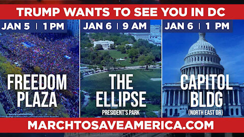 The March to Save America in DC Mobilizes Millions Across America