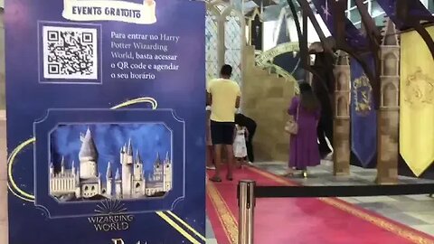 CHAPEU SELETOR DO HARRY POTTER EU ENCONTREI #harrypotter #castelo #magico #familia #tiktok #shorts