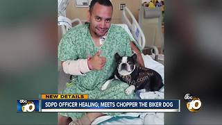 SDPD officer healing; visited by Chopper the Biker Dog