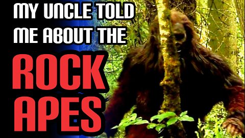 DANGER - Be Careful In The Woods | 5 True Bigfoot Encounter Stories
