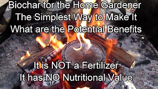 How to Easily Make Biochar for Your Home Garden: Benefits & Use