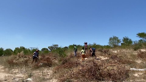 SOUTH AFRICA - Cape Town - Missing Tazne van Wyk search(video) (LwK)