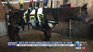 Days End Farm Horse Rescue celebrates 30 years