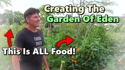 The MOST Ultimate To-Be Garden-Zoo-School-Resort - Tour Of Jim Gale's Food Forest In Galt's Landing