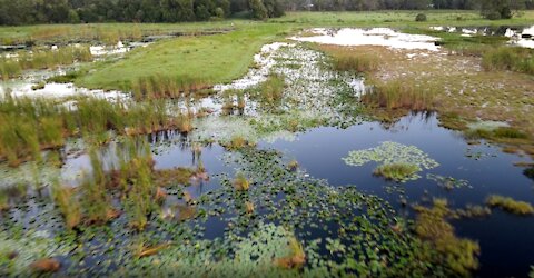 Fishing The Marsh