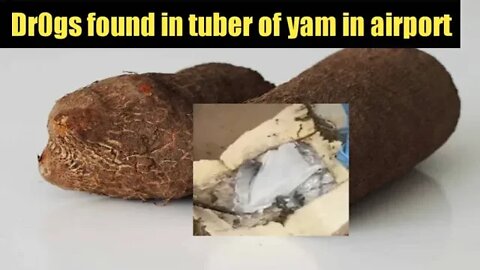 Watch now: Substance found in tuber of yam in airport