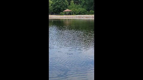 Blalock Reservoir-Clay County