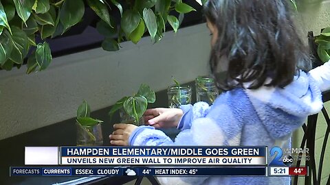Hampden Elementary-Middle goes green, unveils new green wall to improve air quality