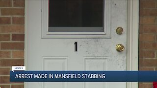 19-year-old arrested for allegedly stabbing Mansfield woman more than 30 times