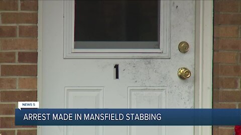 19-year-old arrested for allegedly stabbing Mansfield woman more than 30 times