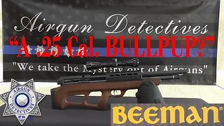 "NEW" Beeman Model 1359, .25 Cal Bullpup, "Full Review" by Airgun Detectives