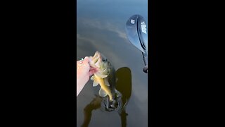 Little Guy in the Kayak