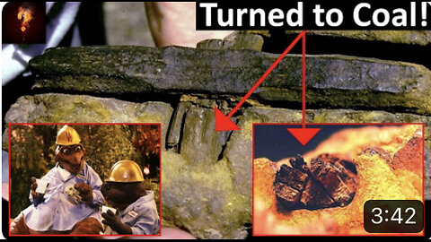 400 Million Year Old Hammer Found In Texas