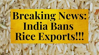 Rice export ban threatens global food supplies