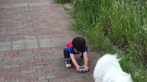Baby Hilariously Struggles To Grab Dog's Leash