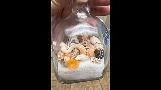 MWIP Sand & Collectible Shells Bottle Kit - 4K