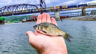 Using BIG LIVE BAIT for Spillway Monsters! (Surprising Catches)