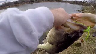 Exploring New Water and Finding BIG Bass!
